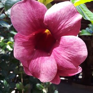 Meet your Posher, Monica